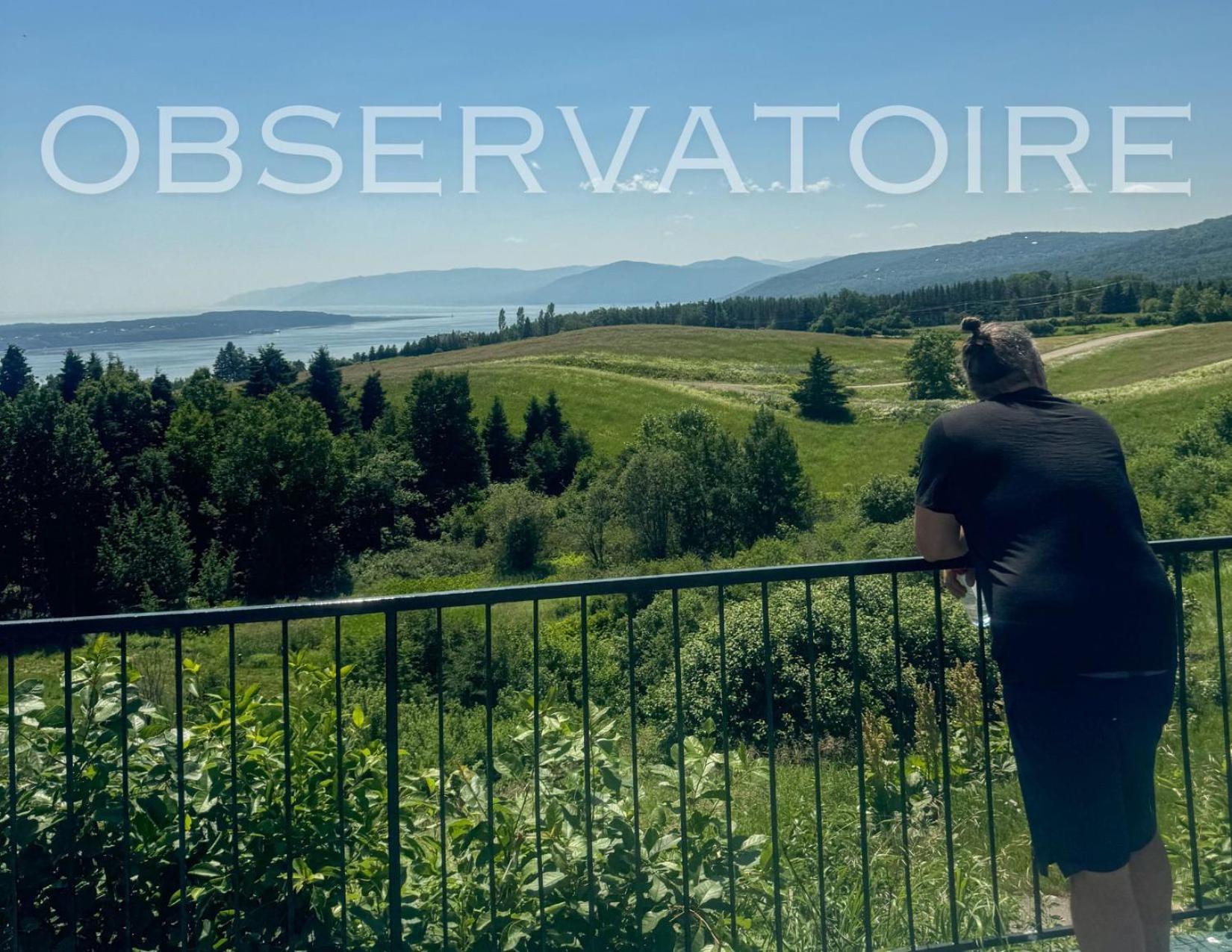 Auberge De Nos Aieux Les Éboulements Екстериор снимка